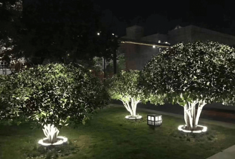 Palm Tree Ring Light Manufacturer & Supplier in China