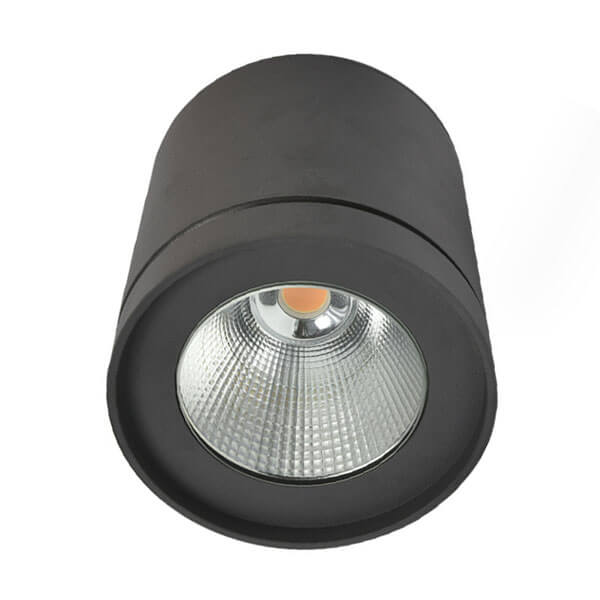 outdoor dimmable downlights