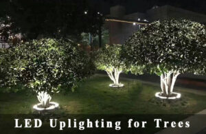 LED Uplighting for Trees