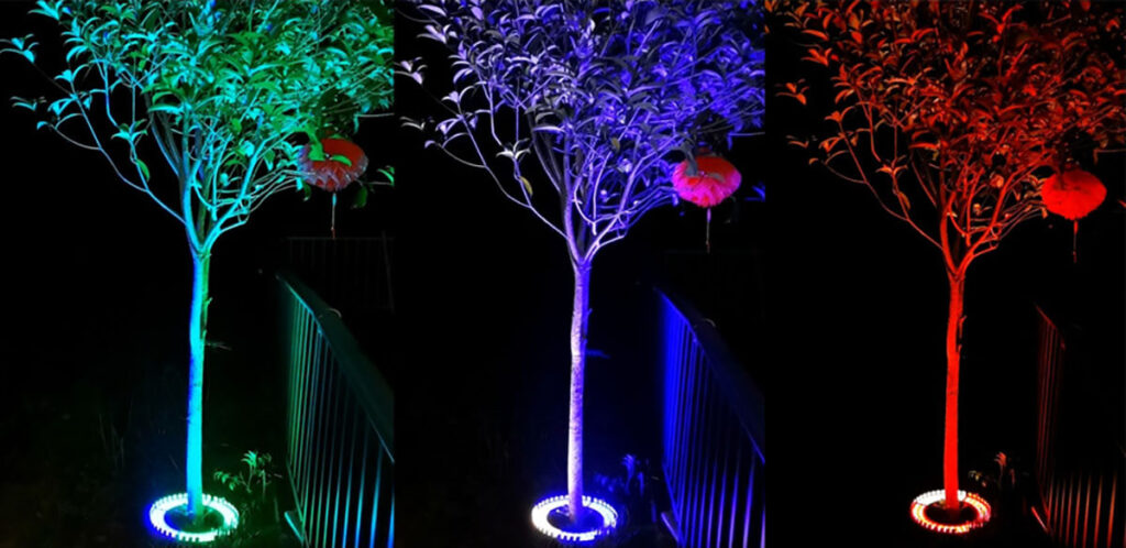 colors of tree ring lights