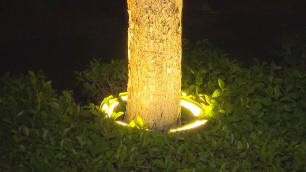 led tree uplights