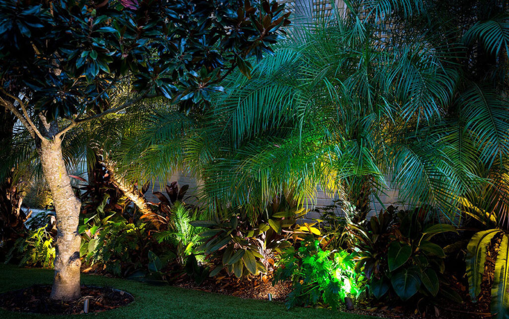 outdoor accent and decorative lighting