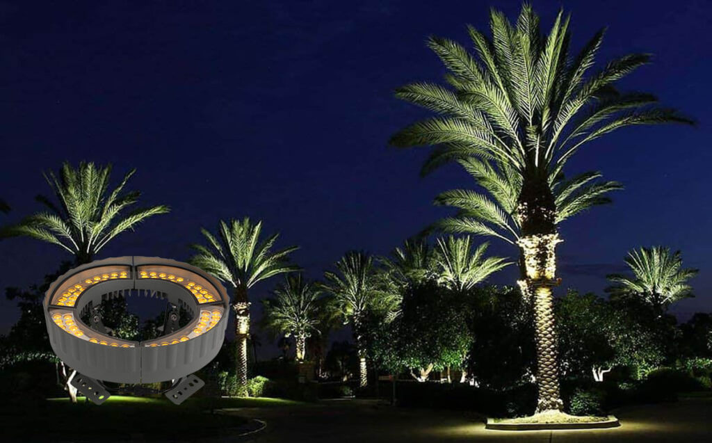 palm tree ring lights application