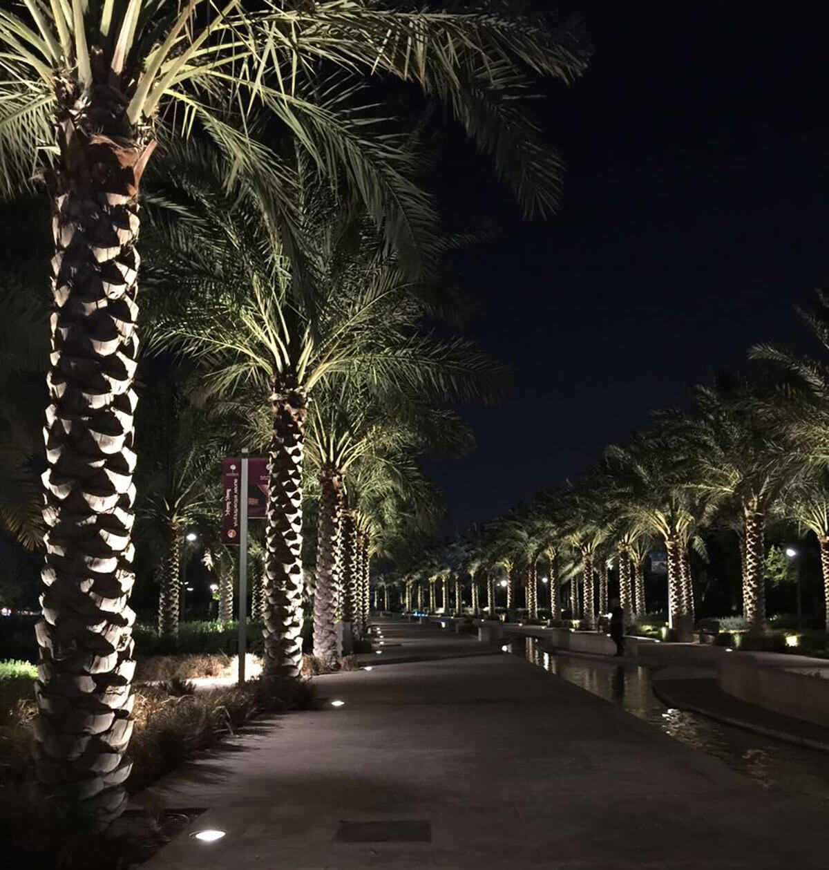 Palm Tree Ring Light – Upward Lighting: Outdoor Architectural Led ...