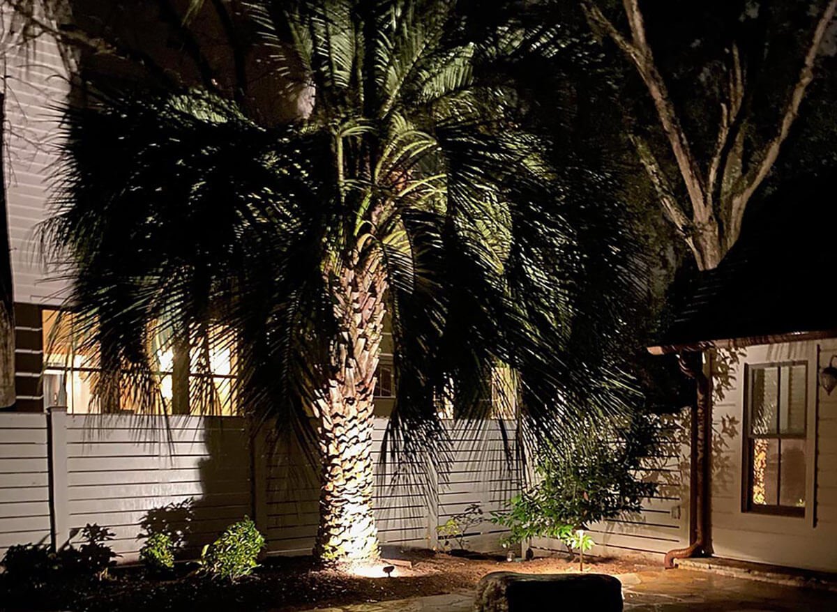 Palm Tree Ring Light Manufacturer & Supplier in China