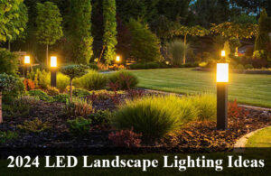 LED Landscape Lighting Ideas