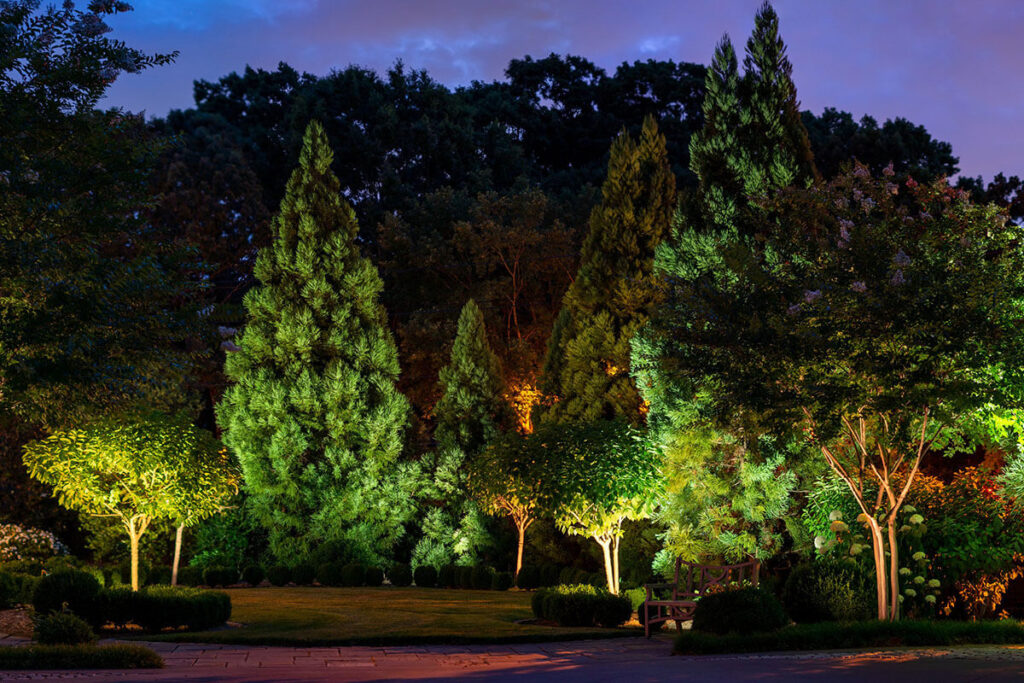 outdoor bush lights
