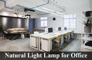 natural light lamp for office