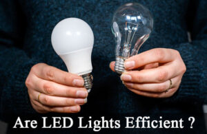 are led lights efficient