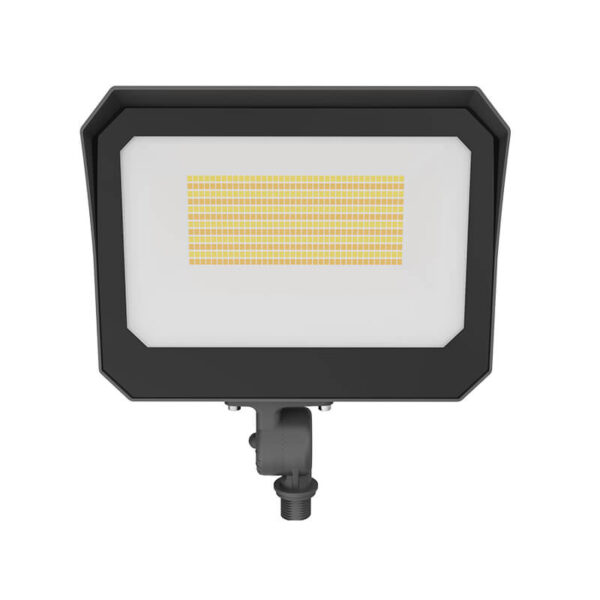 landscape led flood light