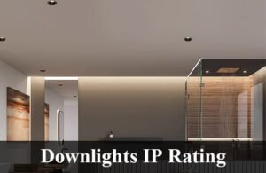 downlights ip rating