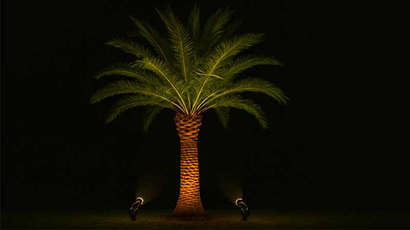 Two spotlights positioned at the base of a palm tree.