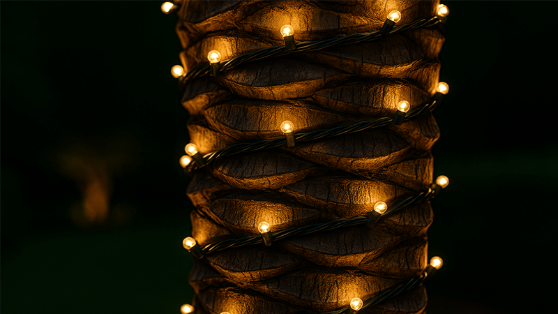 Close-up of string lights wrapped around a palm tree trunk