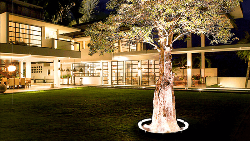 An outdoor LED spotlight used for lighting up a palm tree