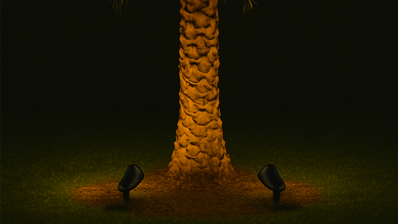 LED spotlights placed at the base of a palm tree trunk, angled up.