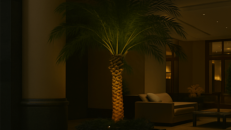 An indoor palm tree in a hotel lobby highlighted by a discreet spotlight.
