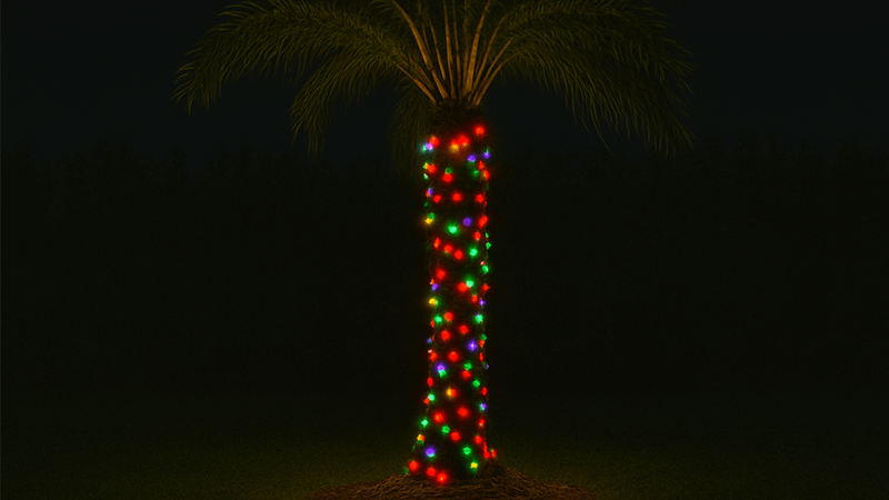 A palm tree trunk wrapped in festive Christmas string lights.