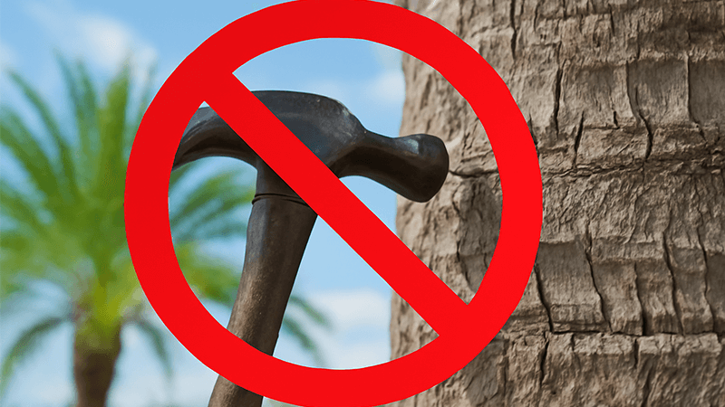 A "Do Not" sign over a nail being hammered into a palm tree